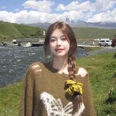 高卢英雄英游记
