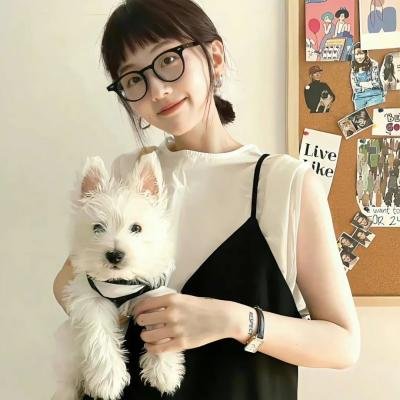 国土安全第七季